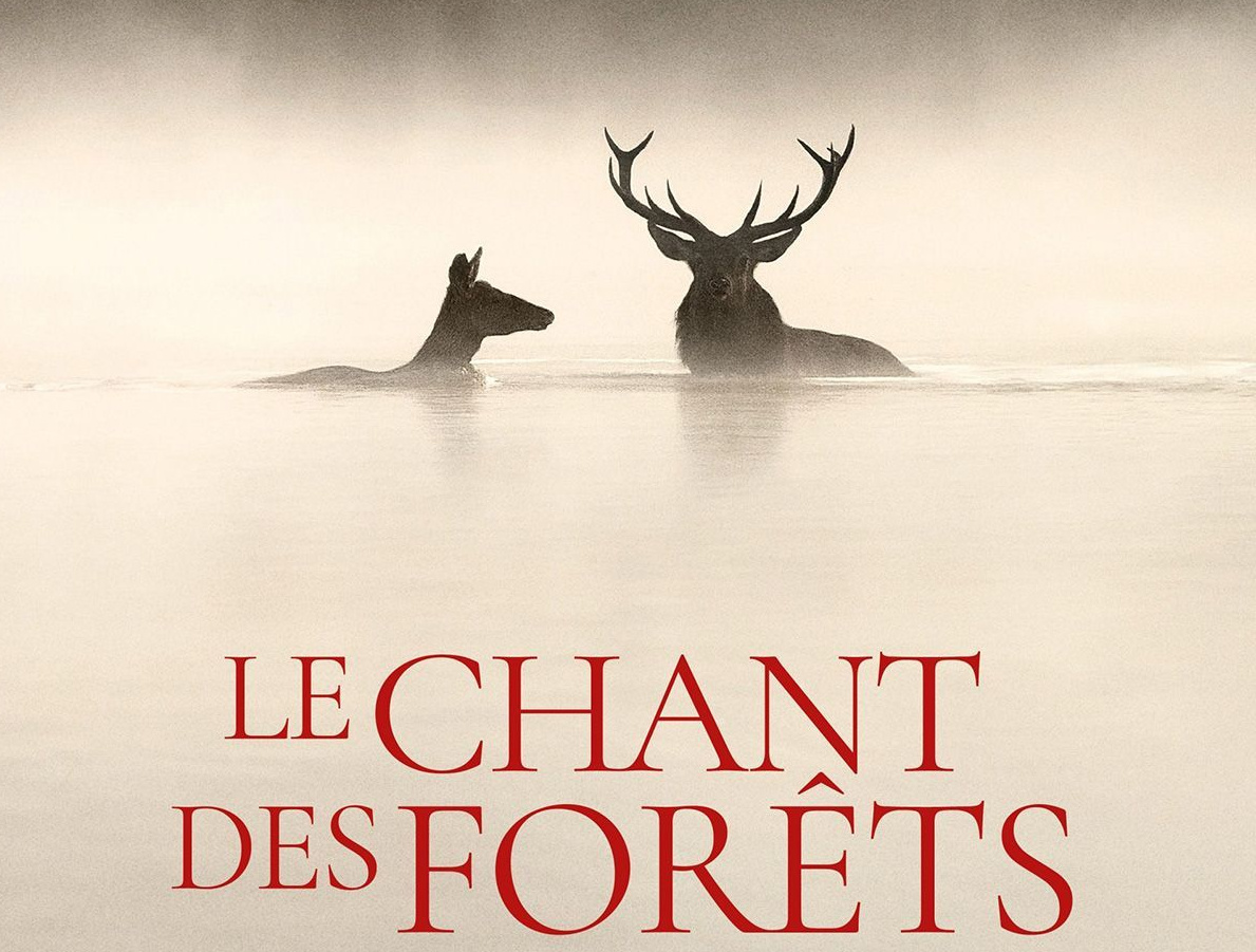 Film Le chant des forêts